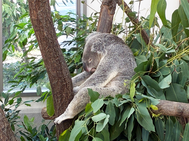 鹿児島 ソフトウェア開発 システム開発 リモート開発 ニアショア開発 九州