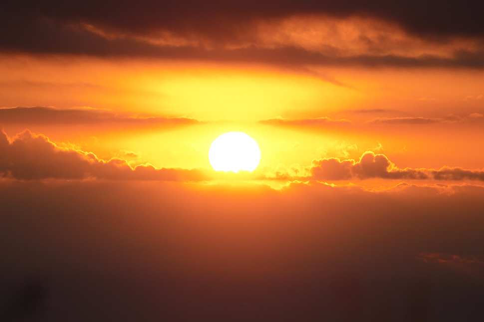 鹿児島　地方　九州　ソフトウェア開発　システム開発