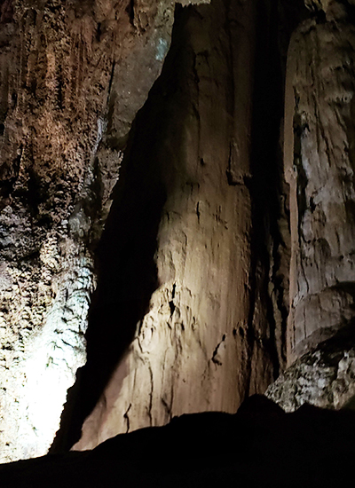 鹿児島　地方　ソフトウェア開発　システム開発　リモート開発　ニアショア開発　九州