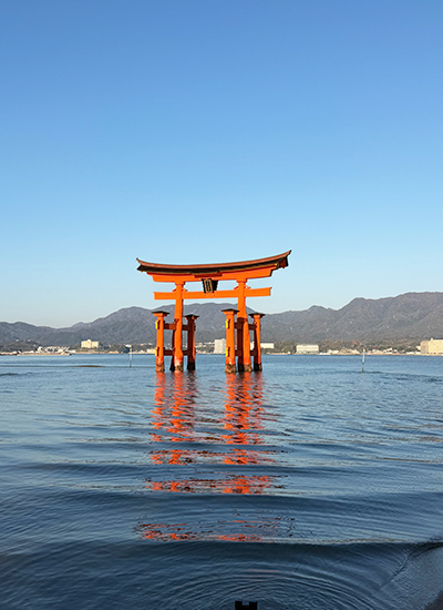鹿児島　地方　ソフトウェア開発　システム開発　リモート開発　ニアショア開発　九州