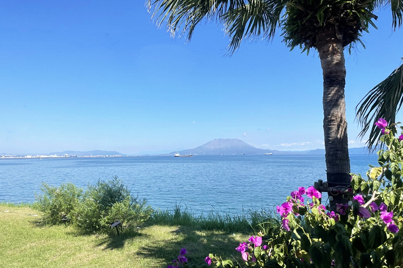 鹿児島　九州　ソフトウェア開発　システム開発　リモート開発　ニアショア開発