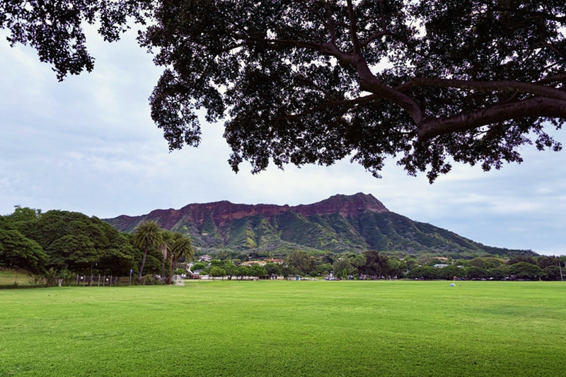 鹿児島　九州　ソフトウェア開発　システム開発　リモート開発　ニアショア開発